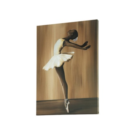 ballet-pinakas-me-mpalarina-1670441495