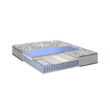 Sealy Balance Anatomic Mattress 